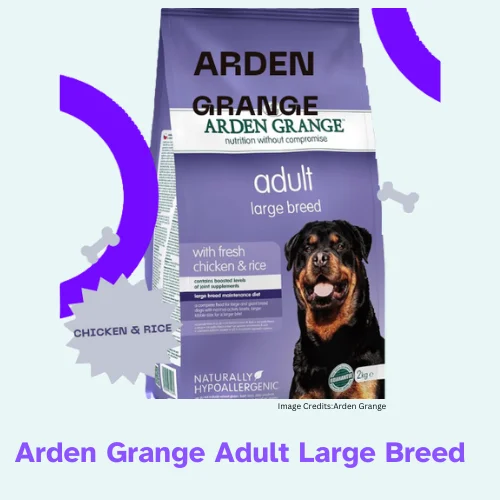 The Best Dog Food