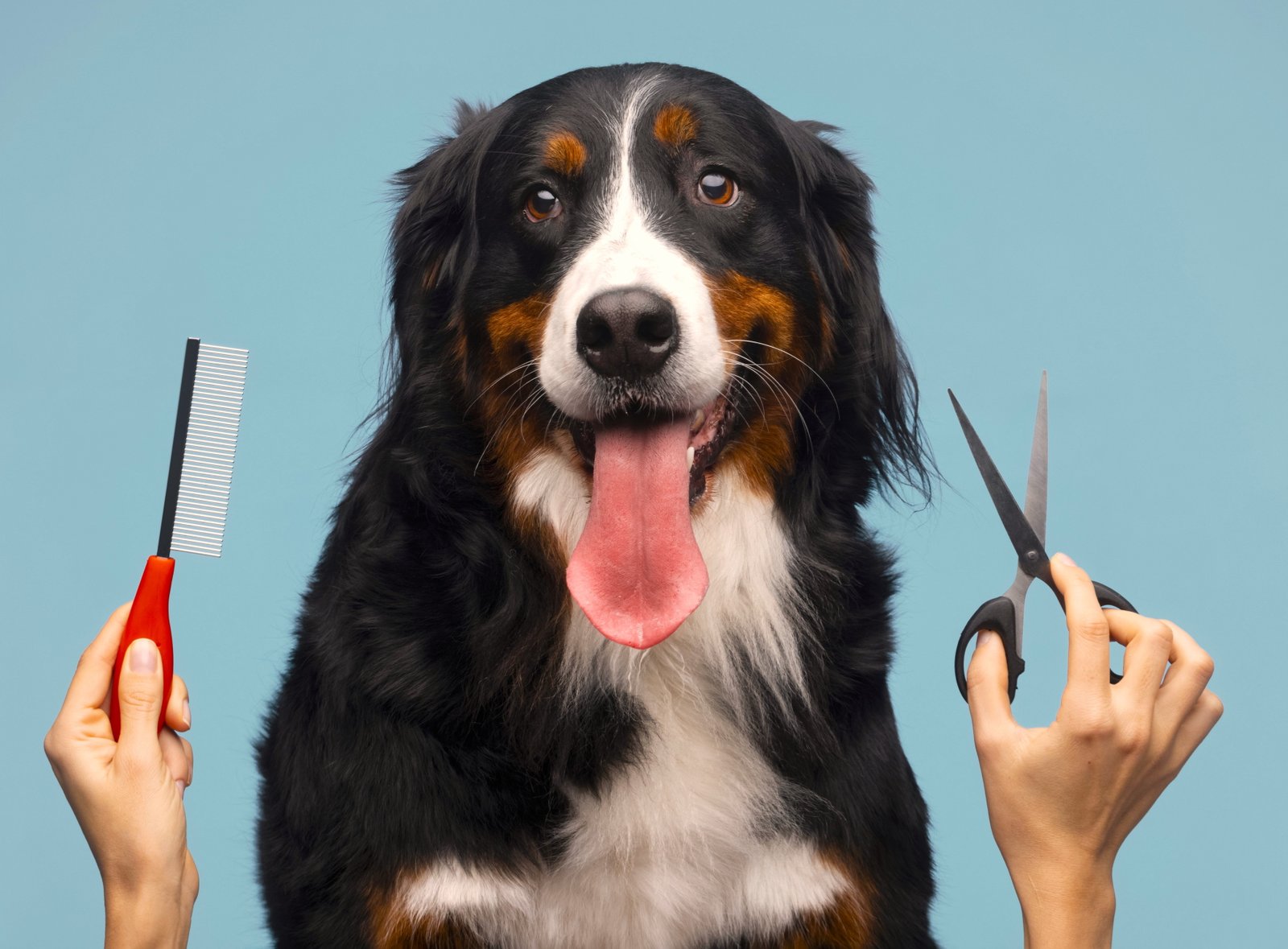 The 5 Best Dog Grooming Brushes