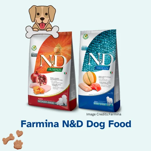 The Best Dog Food