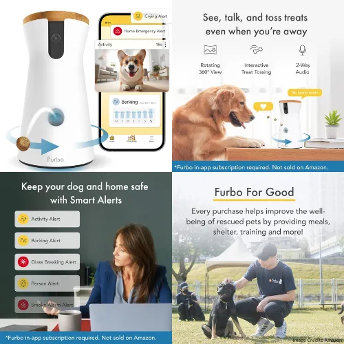 The 5 Best Vacuum Cleaner For Pet Hair