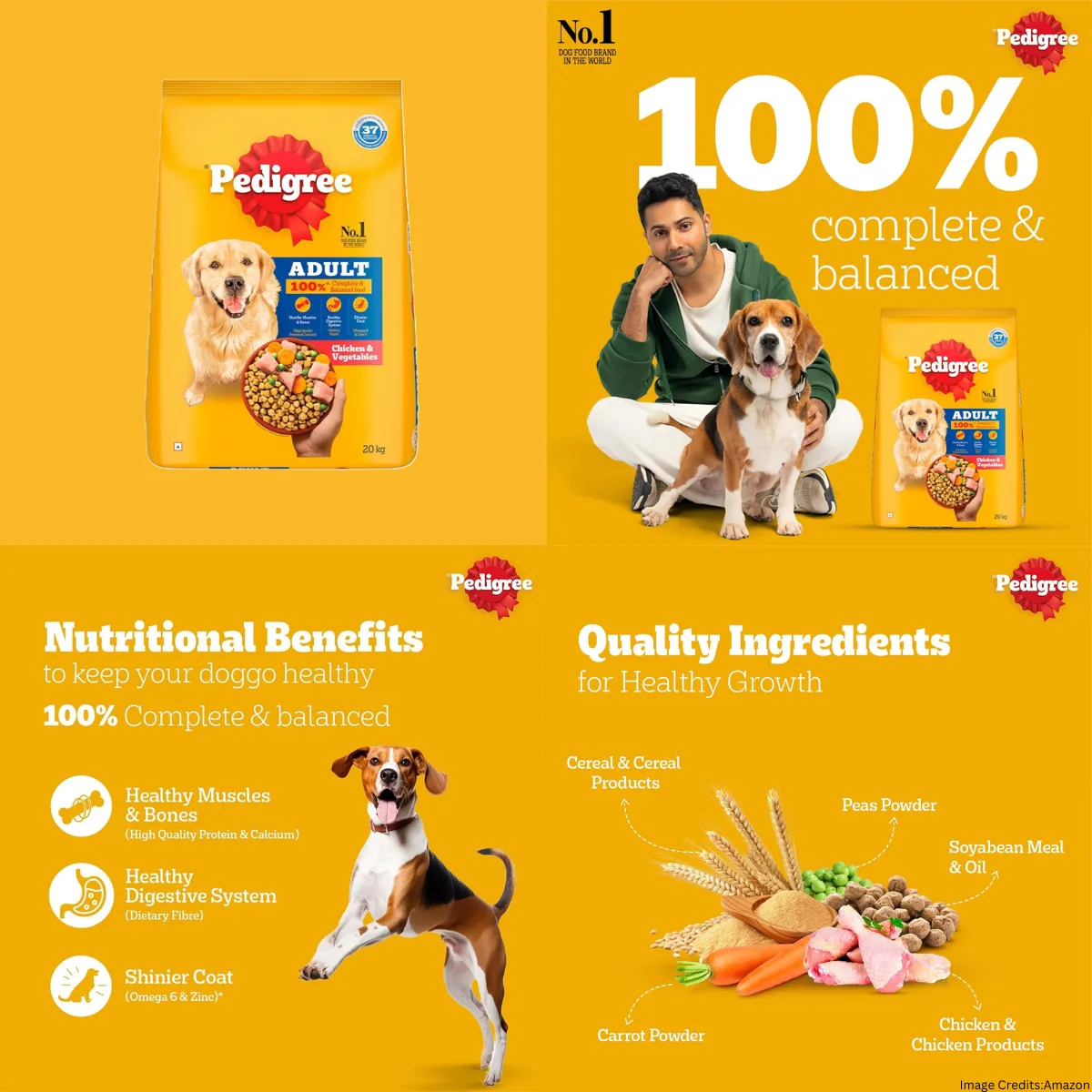 The Best Dog Food