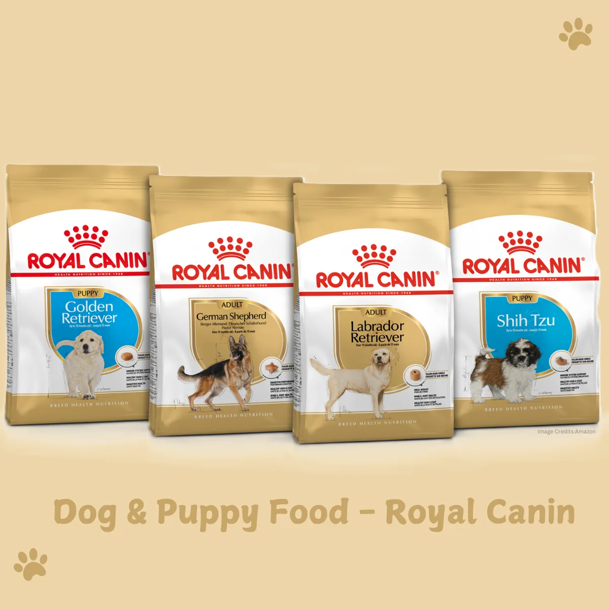 The Best Dog Food