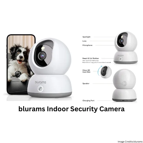 The Best Pet Cameras
